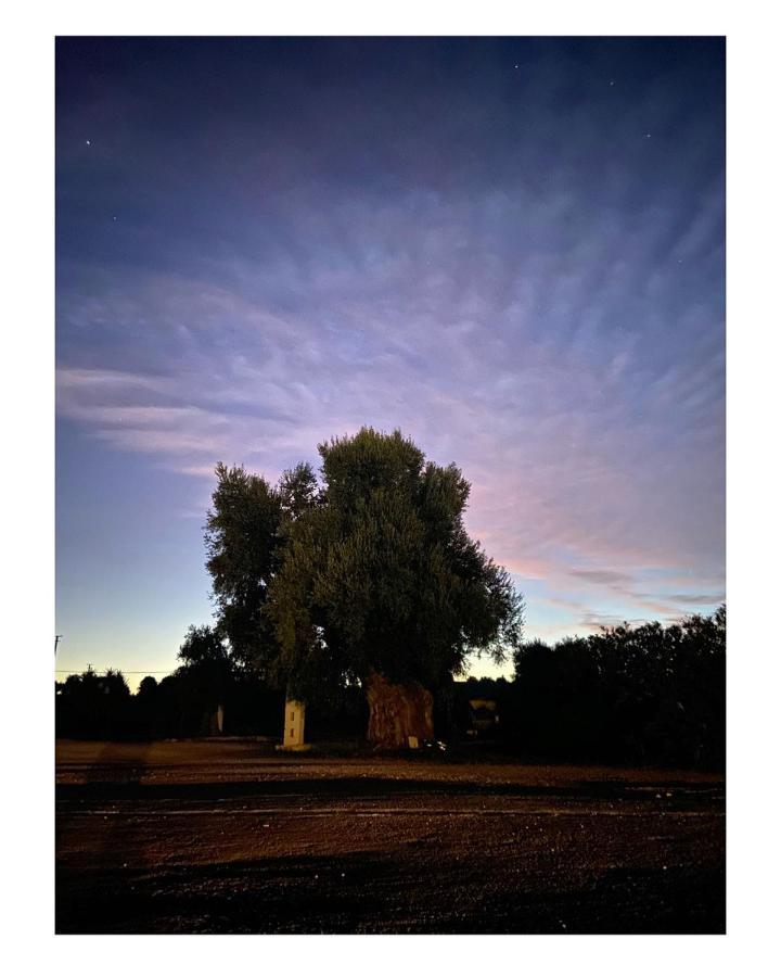 Masseria Conca D'Oro Ostuni Bagian luar foto