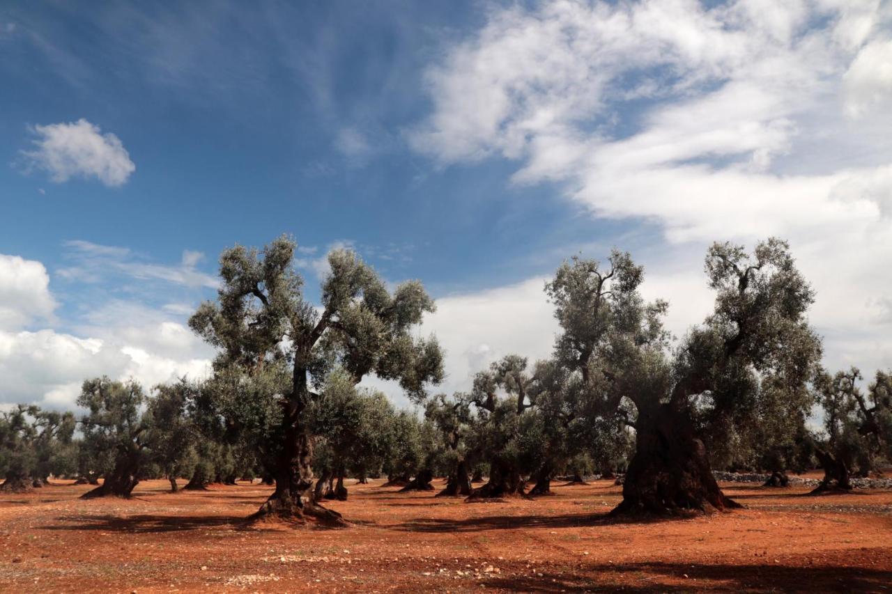 Masseria Conca D'Oro Ostuni Bagian luar foto