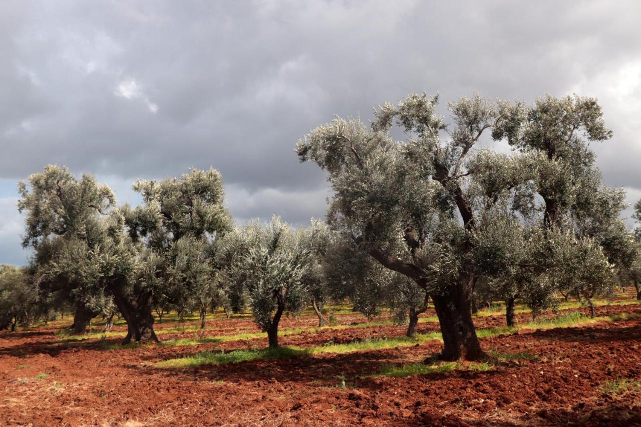 Masseria Conca D'Oro Ostuni Bagian luar foto