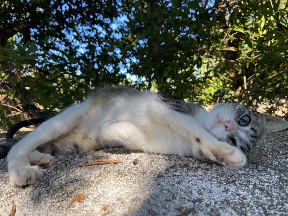 Masseria Conca D'Oro Ostuni Bagian luar foto