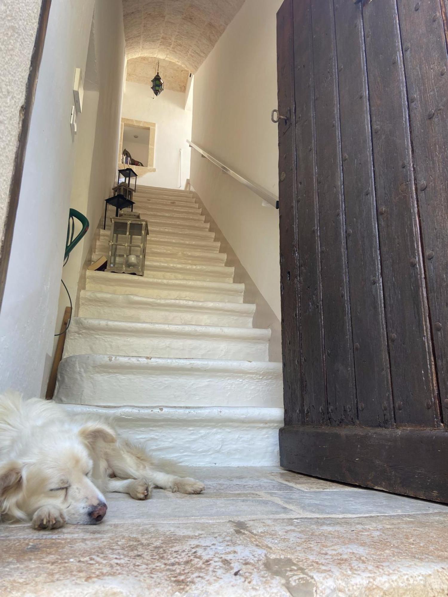Masseria Conca D'Oro Ostuni Bagian luar foto