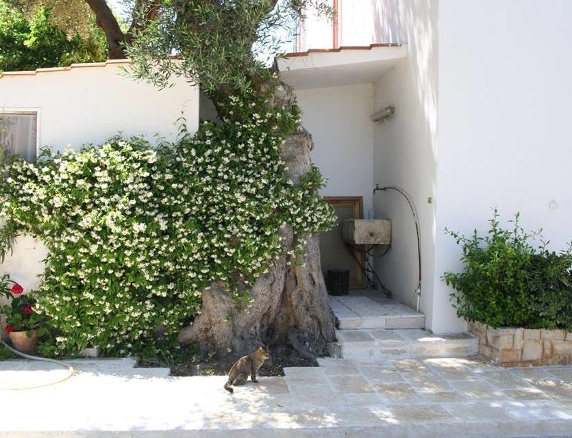 Masseria Conca D'Oro Ostuni Bagian luar foto